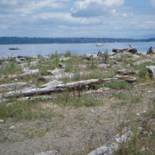 2012 Bainbridge Island History Tour