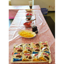 August 2016 Ice Cream Social