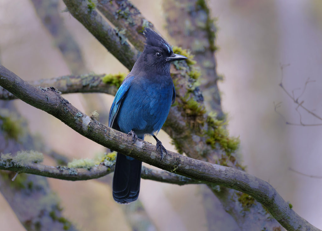 BI Photo Club – Norm James