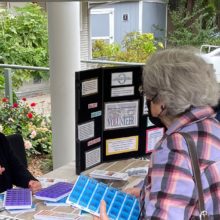 Kitsap Aging & Long-term care