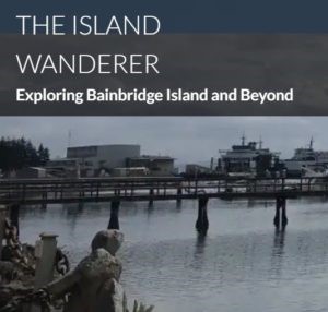 Island Wanderer logo and image