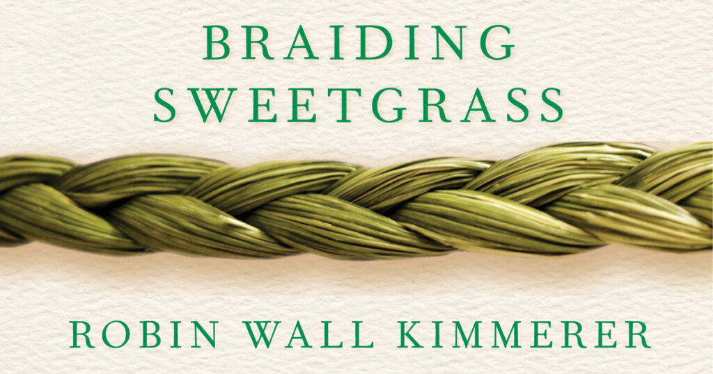 Paperback cover: Braiding Sweetgrass book