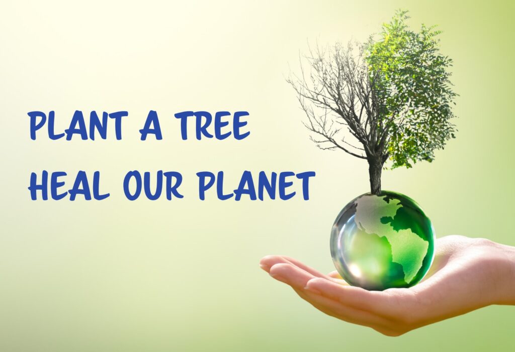 Plant a Tree, Heal Our Planet graphic