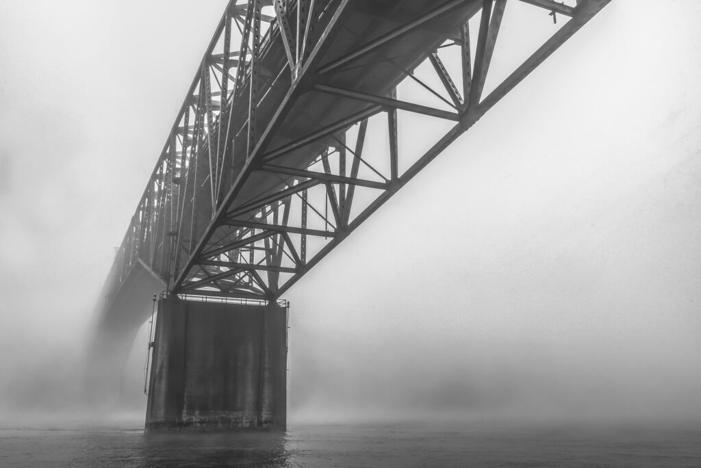 Diane Hutchings photo