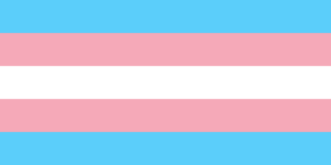 Blue, pink, and white transgender pride flag
