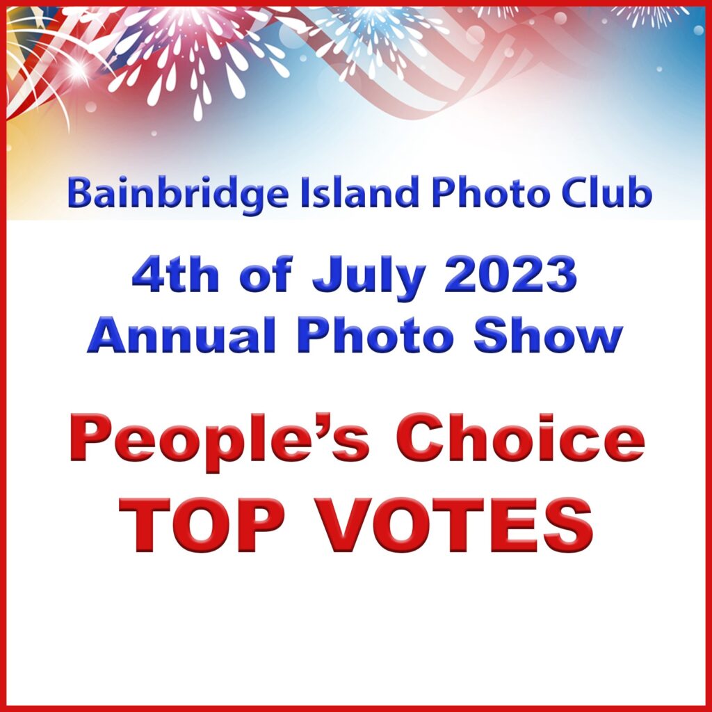 BI Photo Club – August 2023