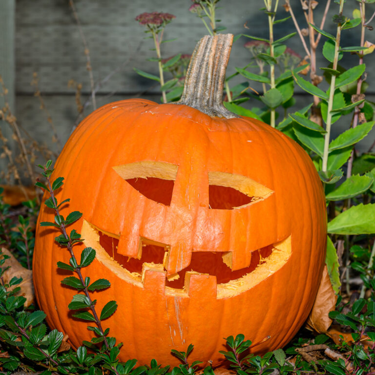 2023 Halloween Party
