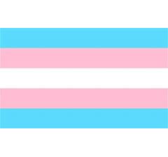 Transgender flag