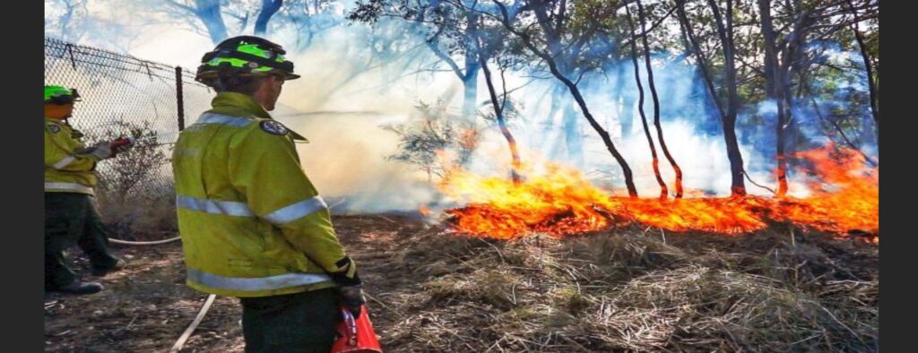 firefighter at wildfire site