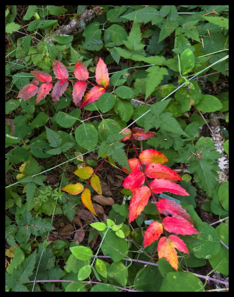 BI Photo – November 2025
