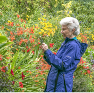 Images: The Intimate Garden