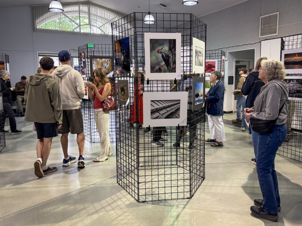 photo show room